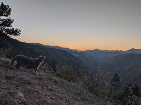 He loves going on walks