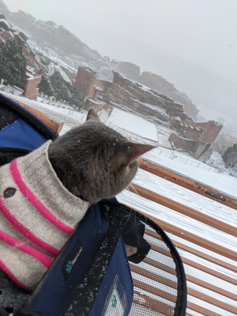Red Rocks Ampitheater in the snow